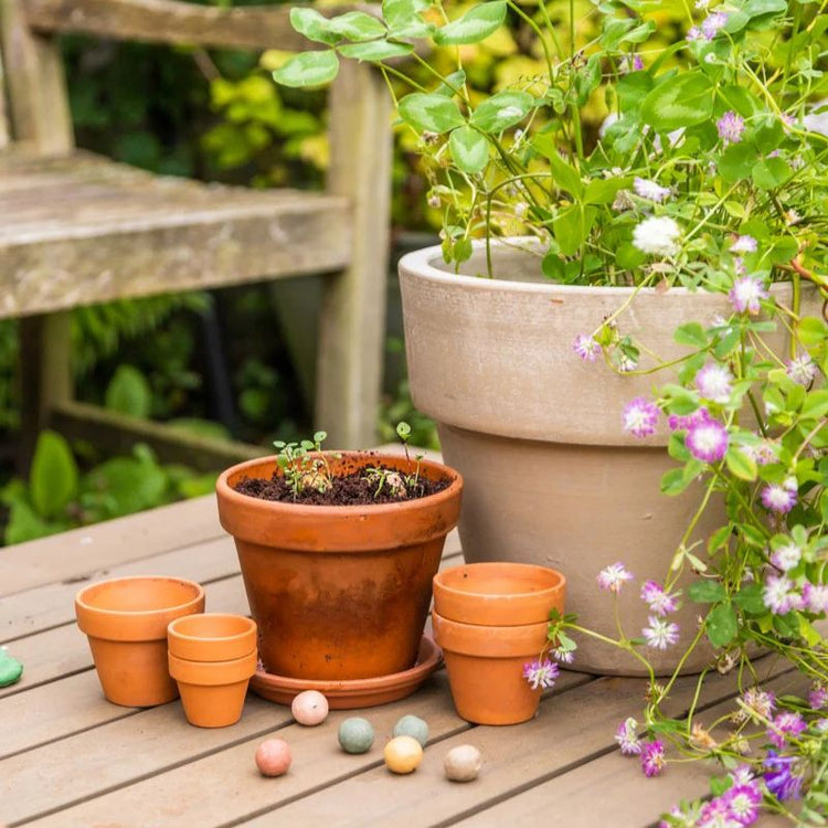 blossombs - bloembommen - bedankt  (2st)