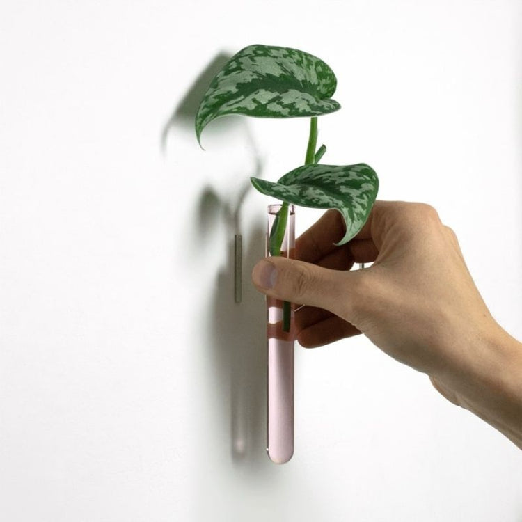 muurbloempjes - roze - 1 stuk