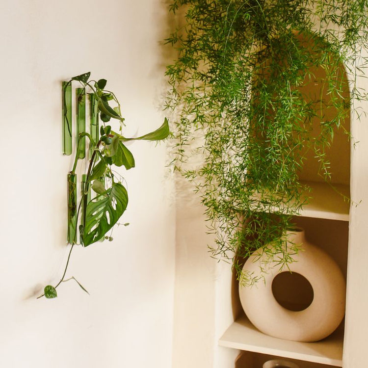 muurbloempjes - groen - set van 6