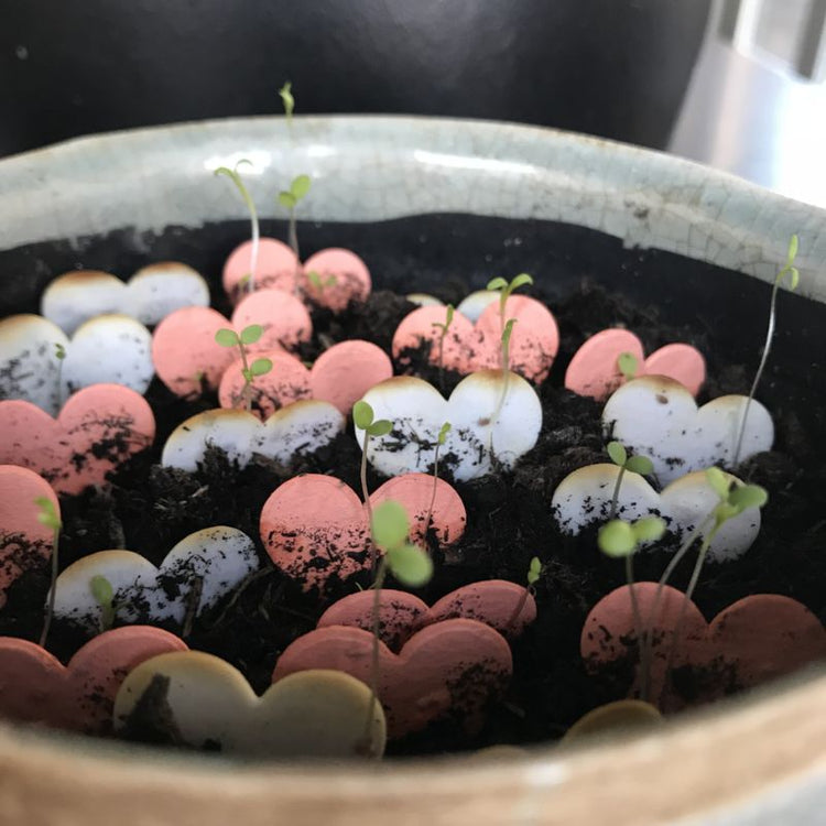 niko niko - throw & grow confetti - love