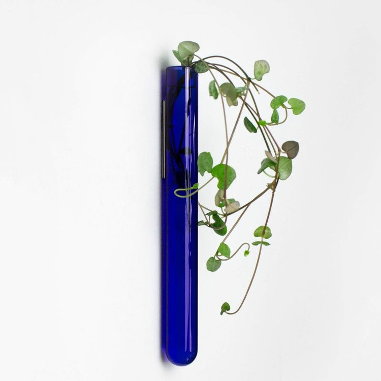 muurbloempjes - blauw - 1 stuk