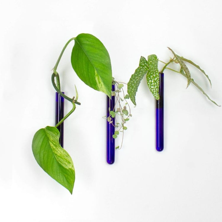 muurbloempjes - blauw - set van 3