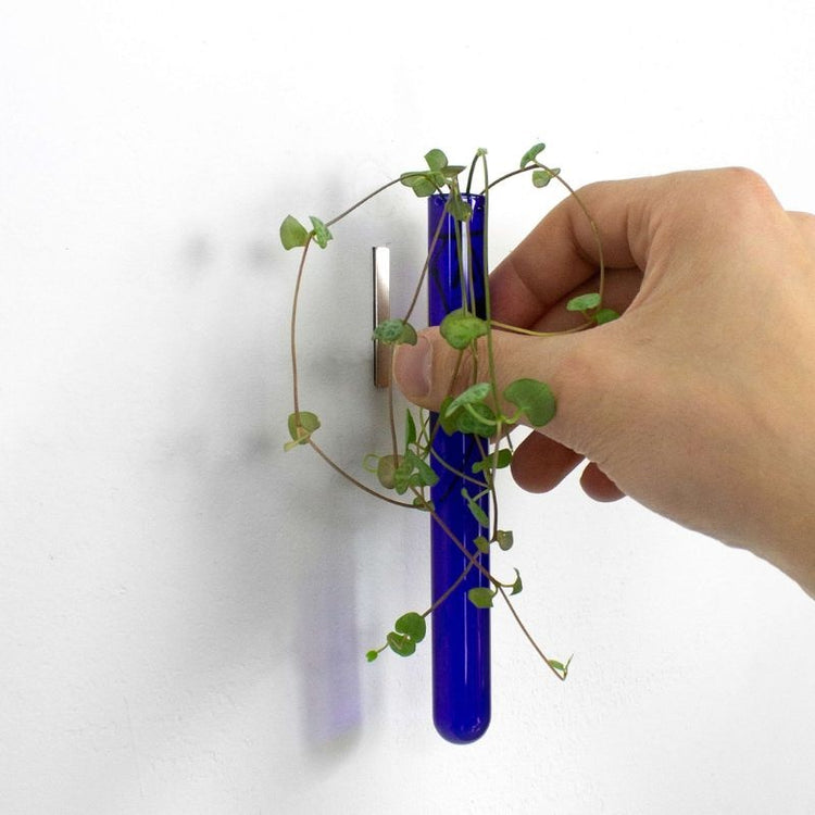 muurbloempjes - blauw - 1 stuk