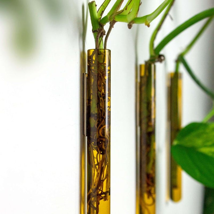 muurbloempjes - amber - set van 3