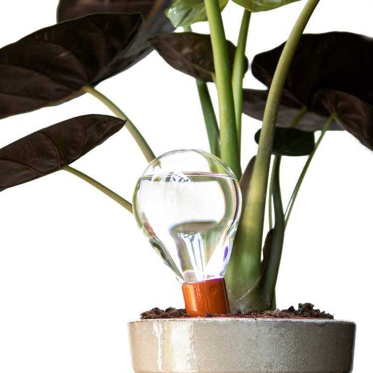 house of thol - waterworks