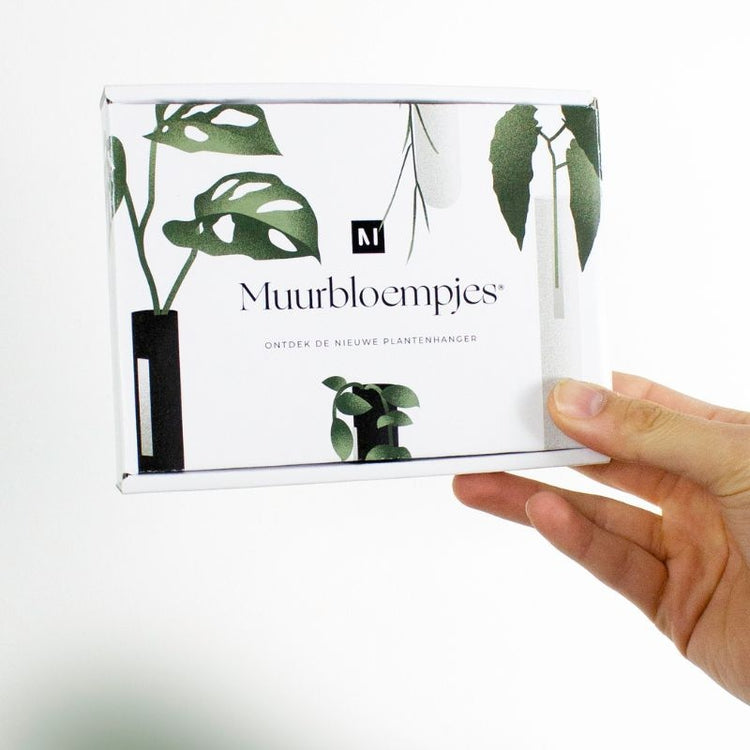 muurbloempjes - transparant - set van 3