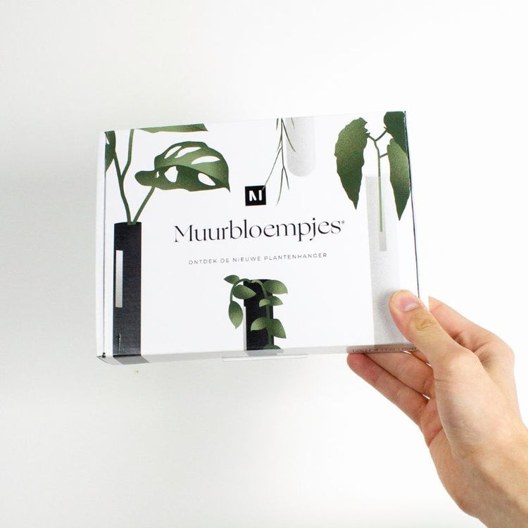 muurbloempjes - zwart - set van 6