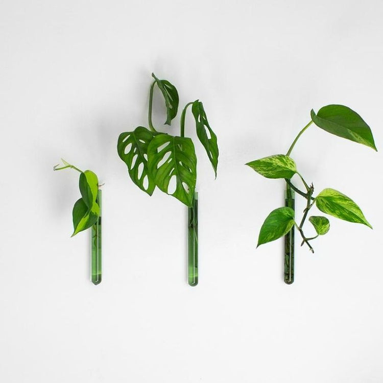 muurbloempjes - groen - set van 3