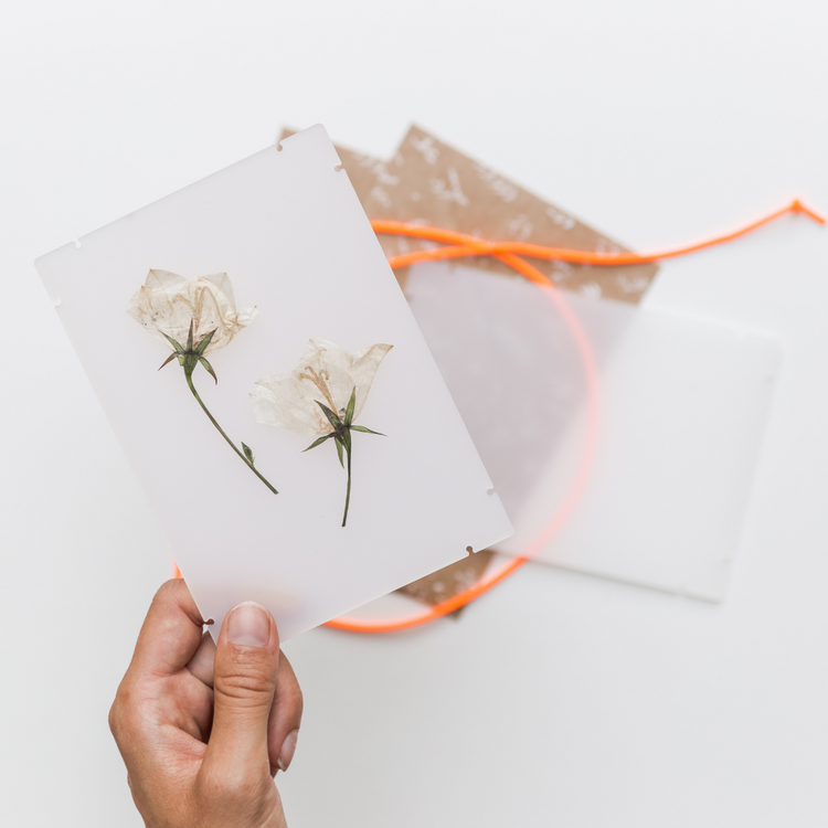 studio carmela bogman - pocket flowerpress- white