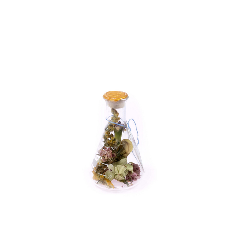 bottle Kibo 100 - gold