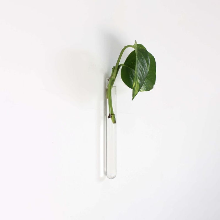 transparent - 1 piece