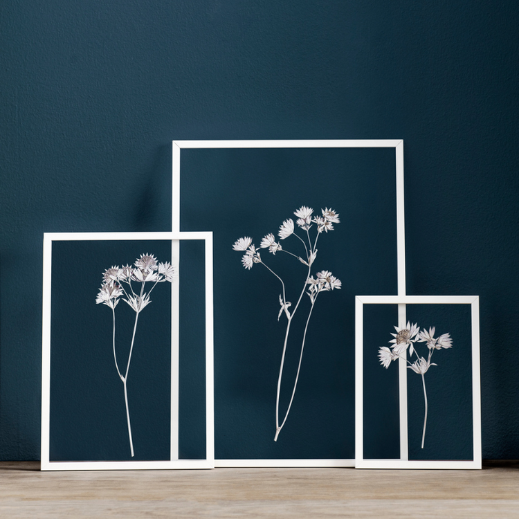 moebe - frame A4 - wit