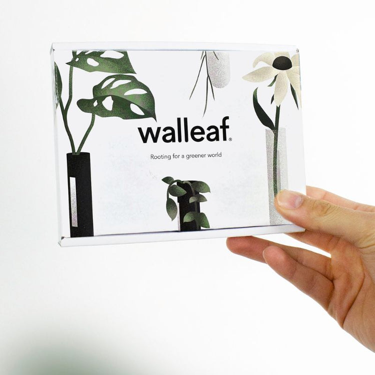 muurbloempjes - roze - set van 6