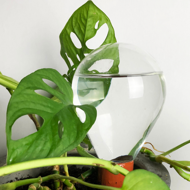 house of thol - waterworks