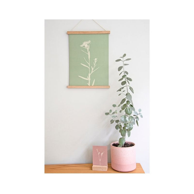 liekiwi - poster wildflowers - knoopkruid