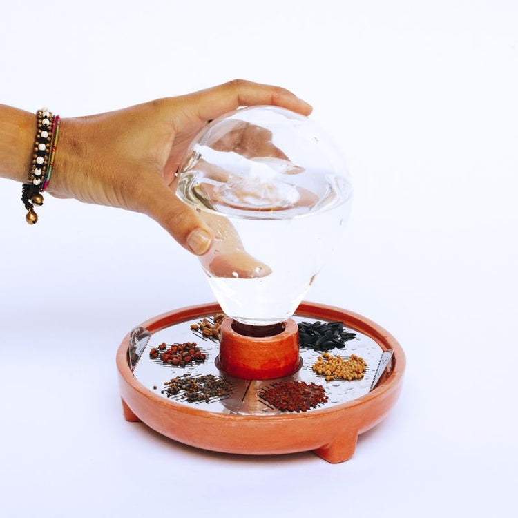 house of thol - patella crescenda - micro vegetable growing kit