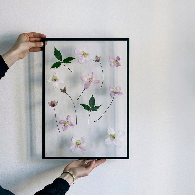 moebe - frame A4 - zwart