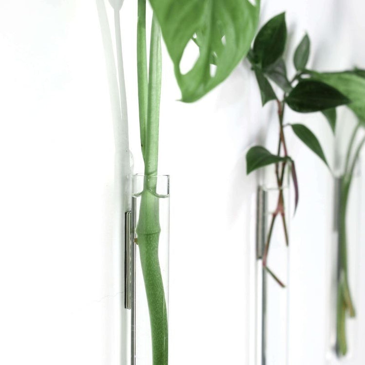 muurbloempjes - transparant - set van 6