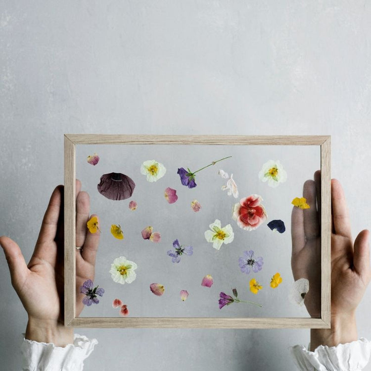 moebe - frame A4 - eiken