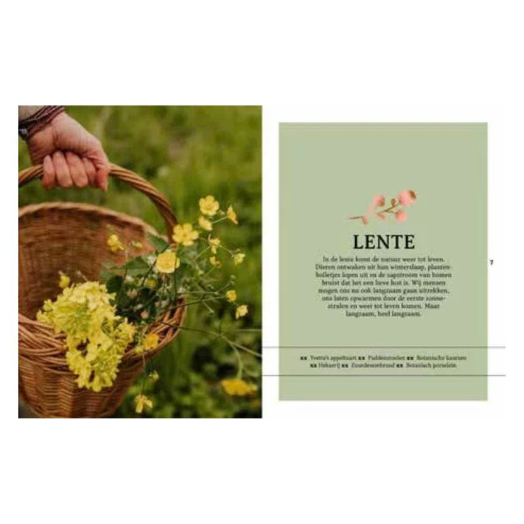 slower living - eva krebbers