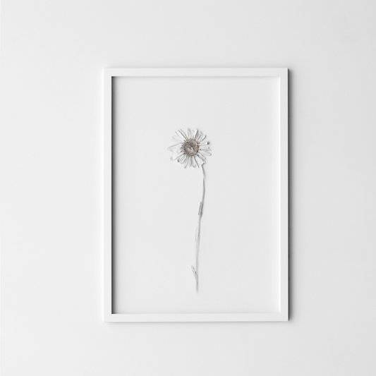 moebe - frame A4 - wit