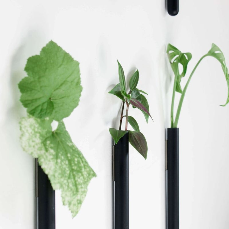 muurbloempjes - zwart - set van 6