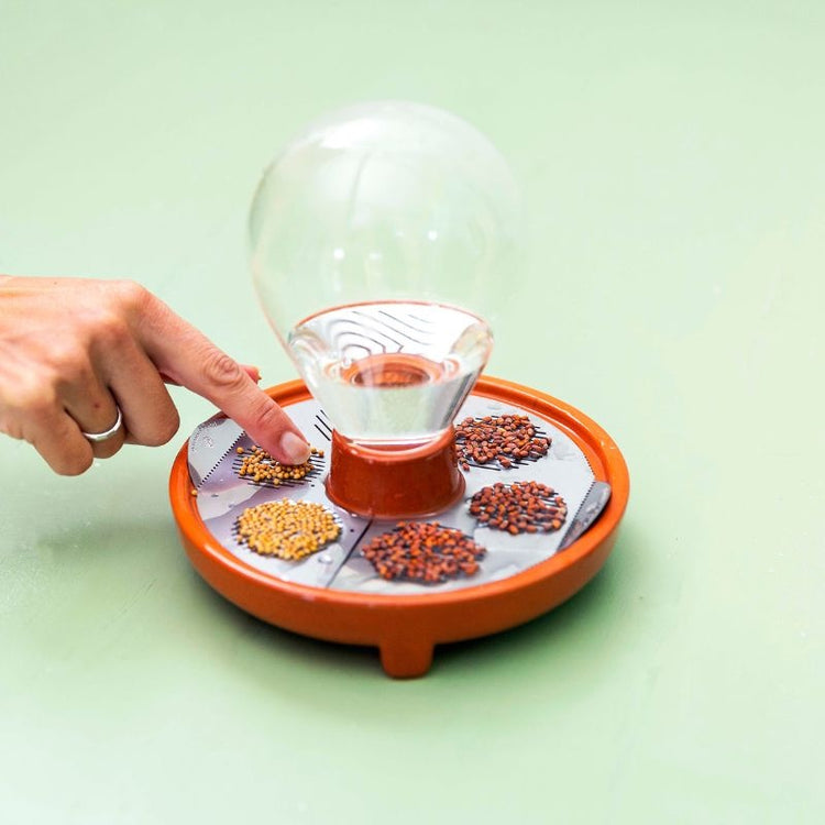 house of thol - patella crescenda - micro vegetable growing kit