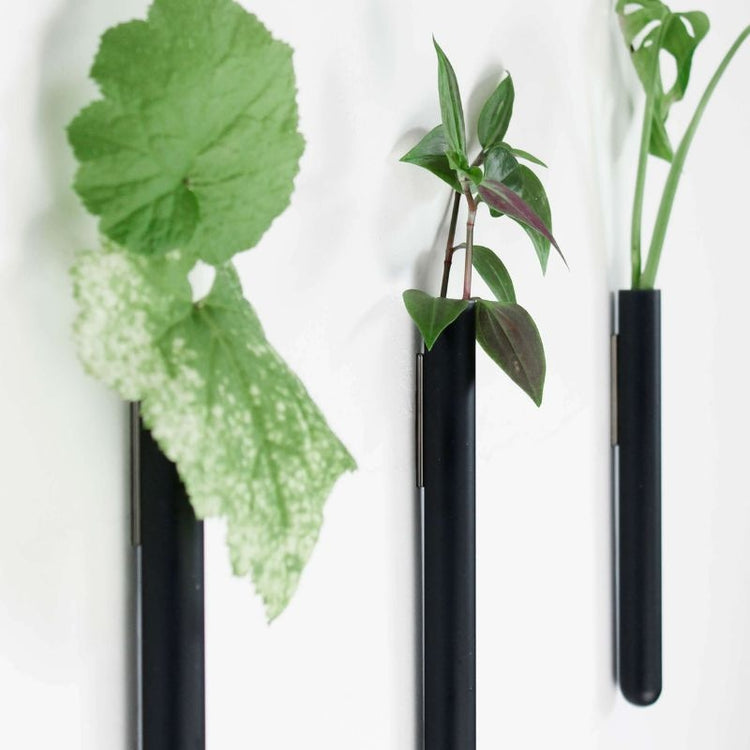 muurbloempjes - zwart - set van 3