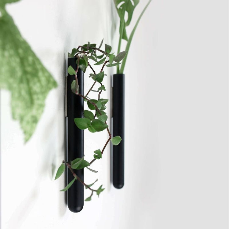 muurbloempjes - zwart - 1 stuk