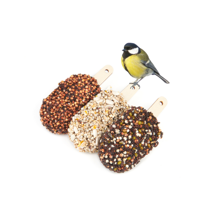 studio carmela bogman - dessert for birds - delicious red