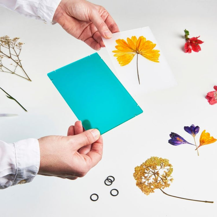 studio carmela bogman - flowerframe - large