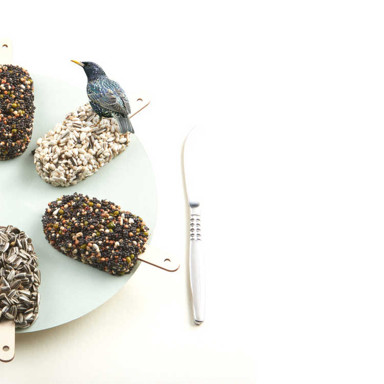 studio carmela bogman - dessert for birds - mixed temptation