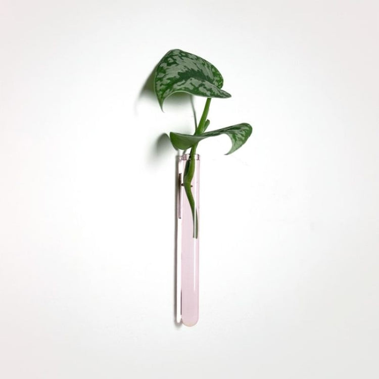 muurbloempjes - roze - 1 stuk