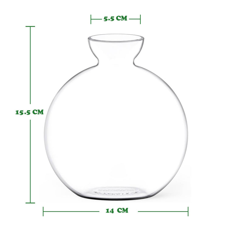 AFmeting glazen kweekvaas voor avocadopitten van Vasecado