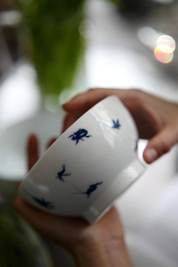 lilibo - kom - insecten