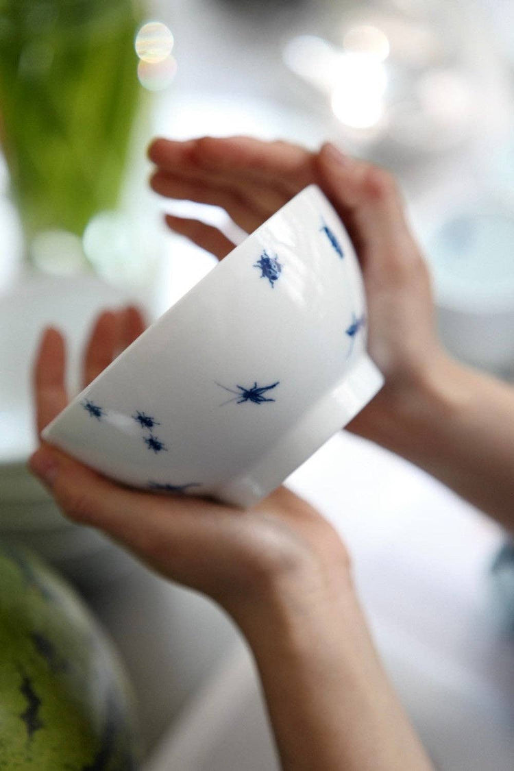 lilibo - kom - insecten