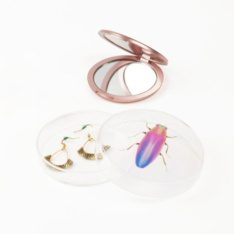 studio carmela bogman - tiny nature box