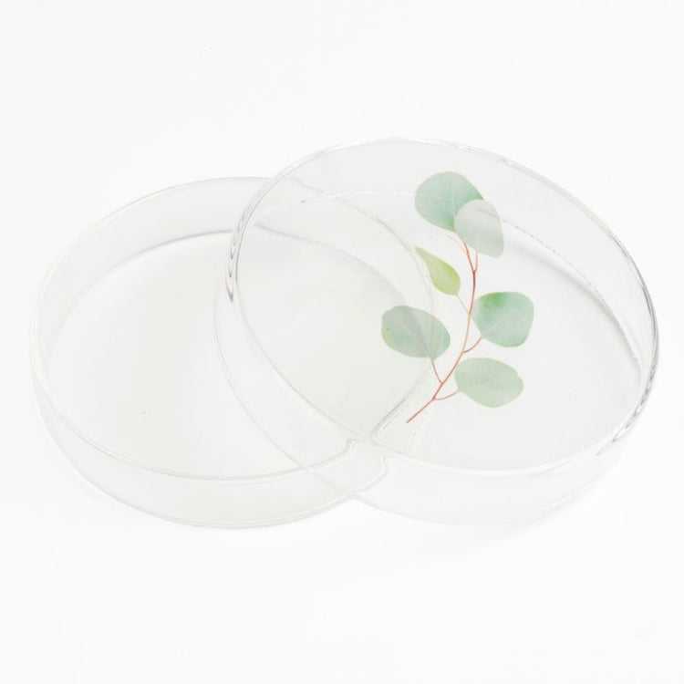 studio carmela bogman - tiny nature box