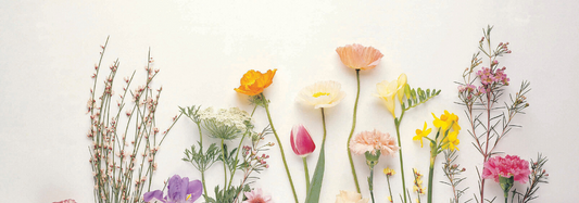lente | 3x inspiratie voor een kleine tuin of balkon