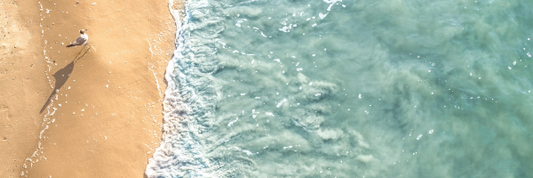summer | ik ga op pad en neem mee