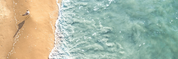summer | ik ga op pad en neem mee