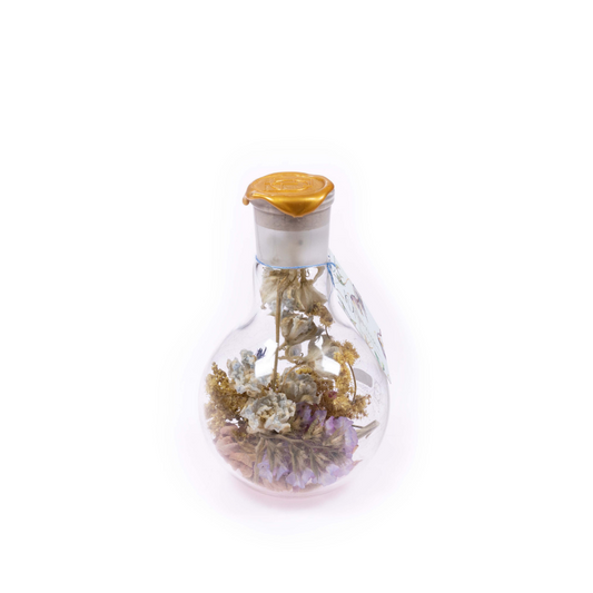 field of hope - fles Sperare 250 goud