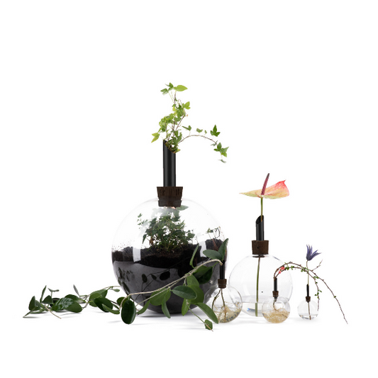 glassilium vase - black