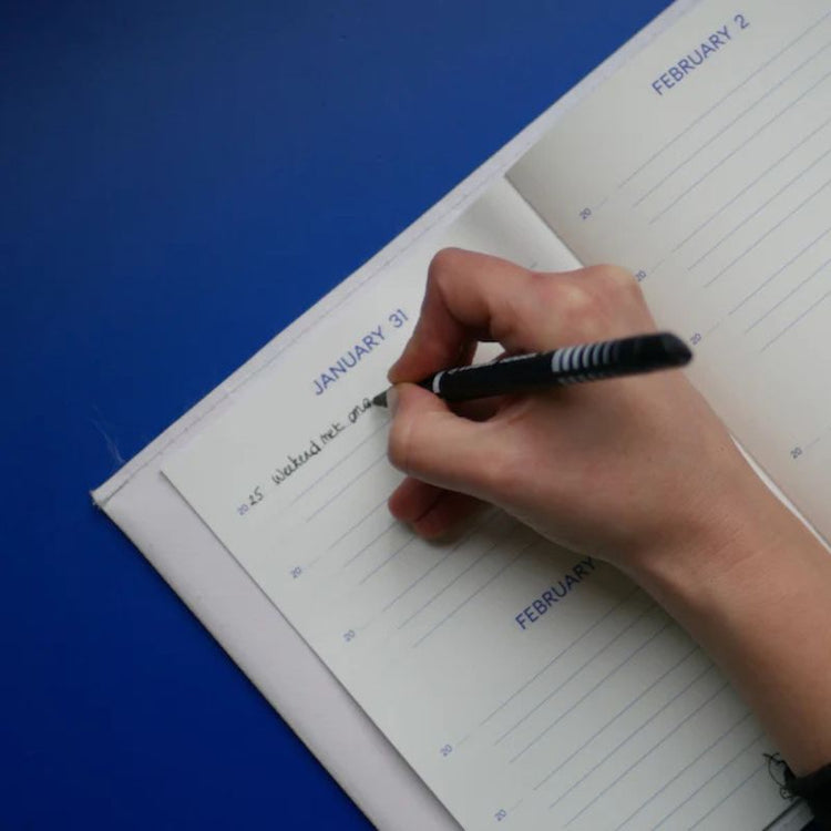 redopapers - one line a day - diary