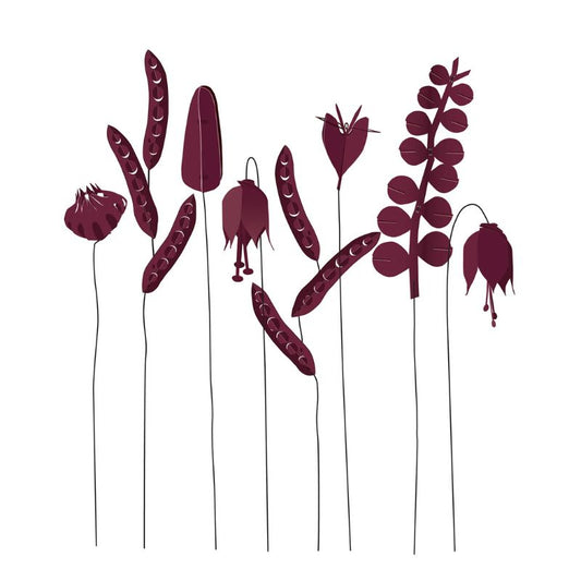 jurianne matter - field  flowers - merlot