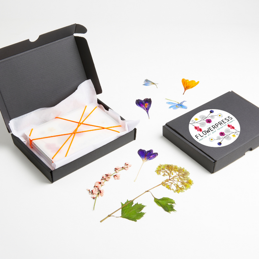 studio carmela bogman - pocket flowerpress- white