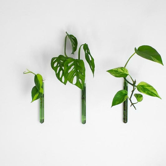 muurbloempjes - groen -  set van 3