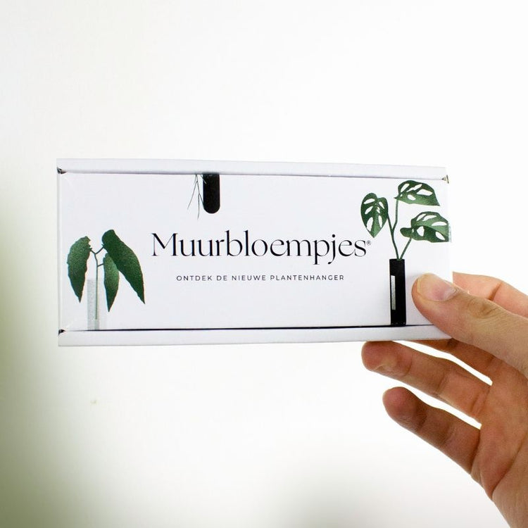 muurbloempjes - transparant - 1 stuk