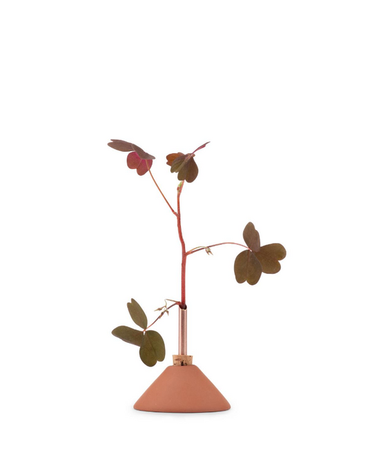 consilium vase - terracotta
