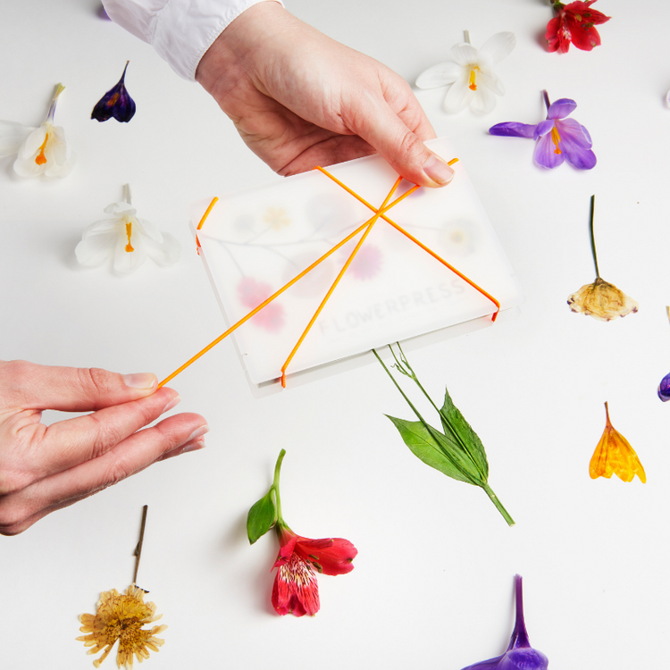 studio carmela bogman - pocket flowerpress- white